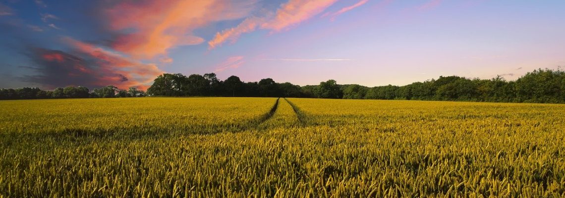 countryside-2326787_1280