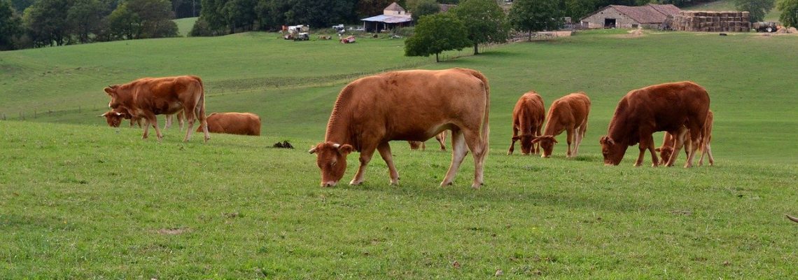 agriculteur Dordogne