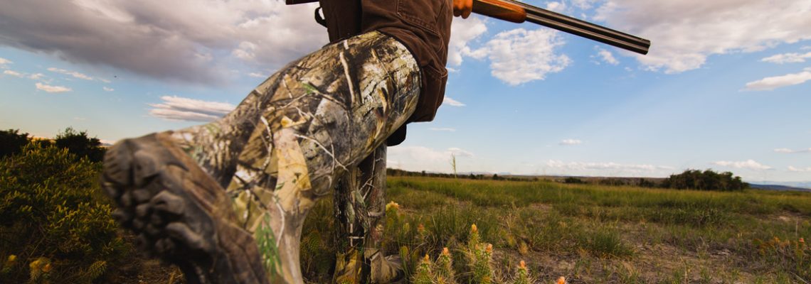 Les dates d'ouverture et de fermeture de la chasse 2019 2020