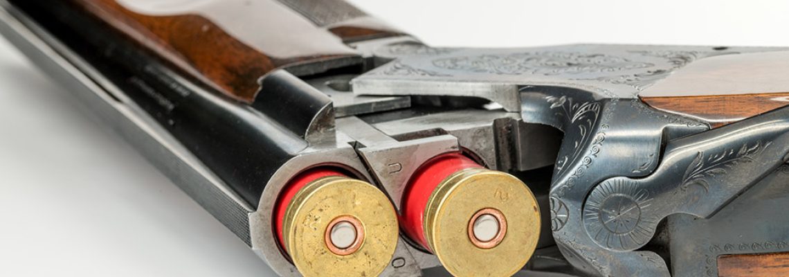 fusil-chasse-12