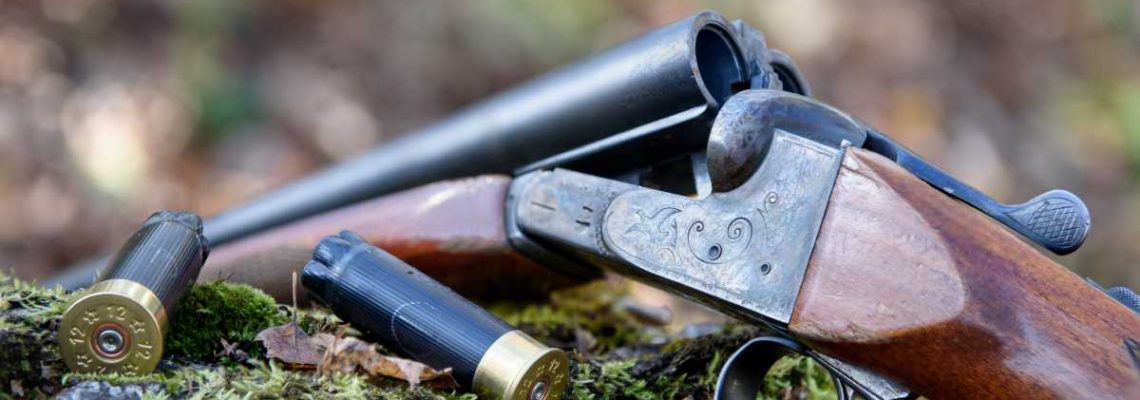 fusil-chasse