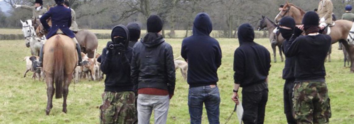 antis at crawley and horsham hunt