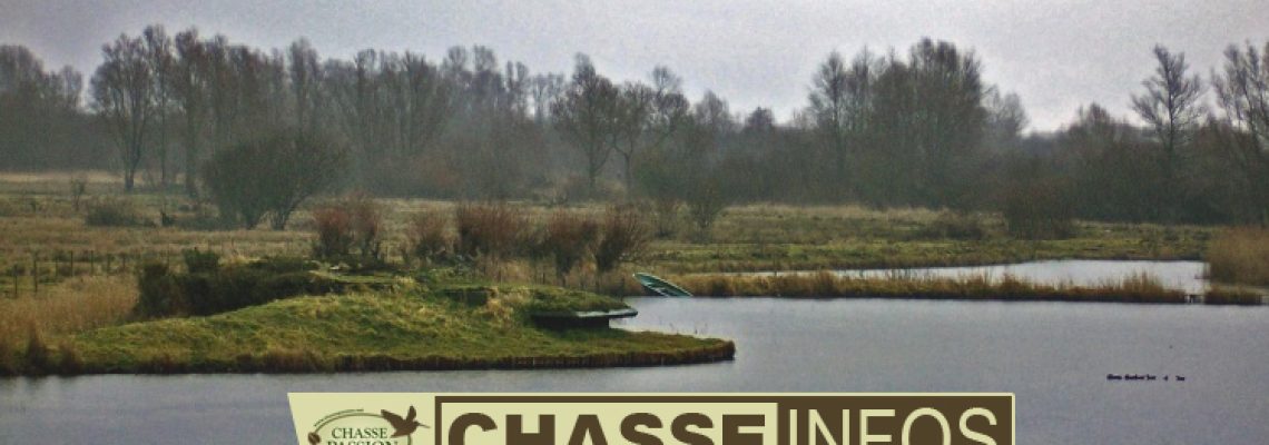 hutte-chasse-feu
