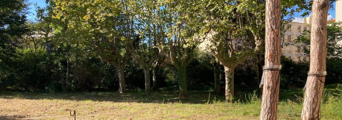 les écologistes de lyon veulent raser un espace vert