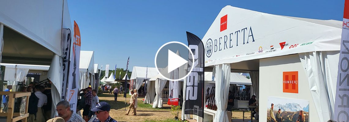 live-game-fair
