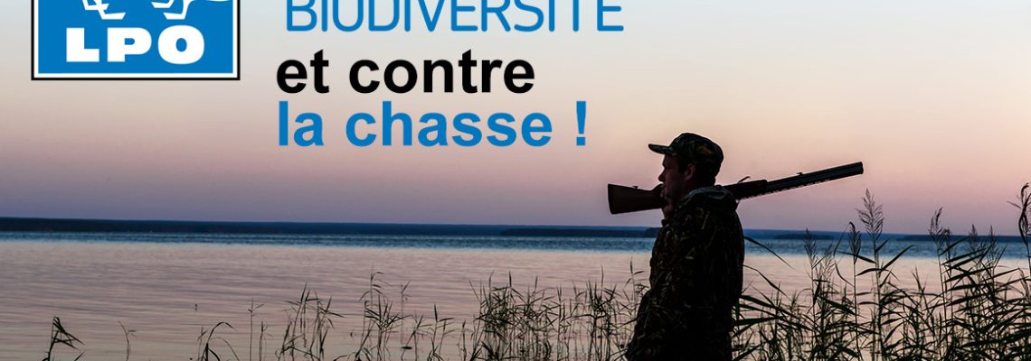 La lpo demande la fermeture de la chasse
