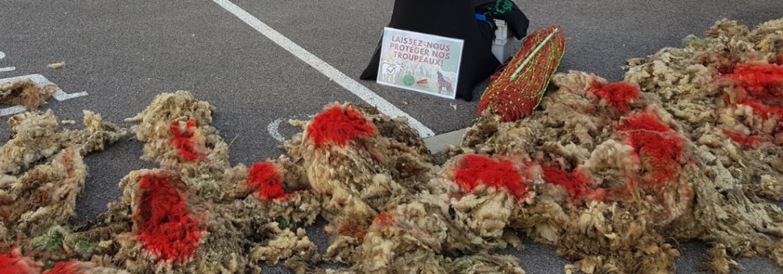 manifestation des éleveurs devant l'OFB à Apprieu