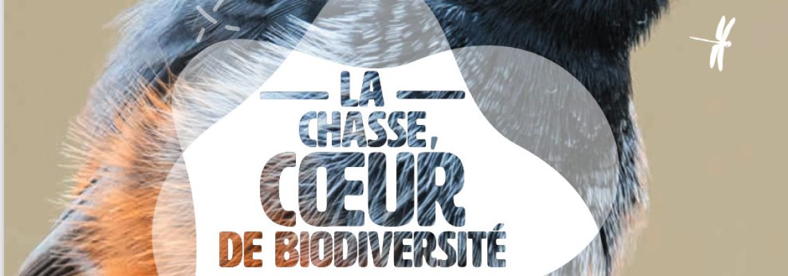 manifeste-chasse