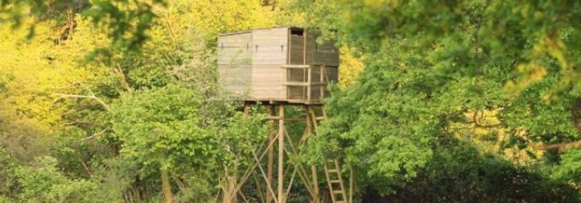 mirador-chasse
