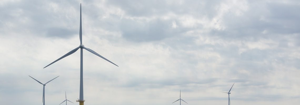 les Pays-Bas arrêtent les éoliennes pour la migration