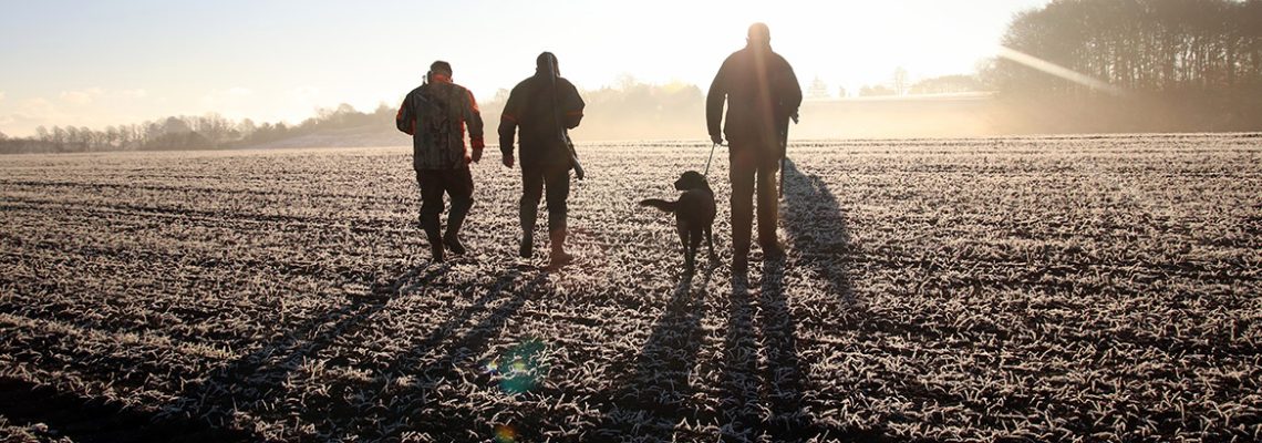 À l’instar de nombreux département, la Creuse lance cette année le permis de chasse à 0€