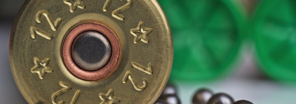 Le plomb des cartouches de chasse