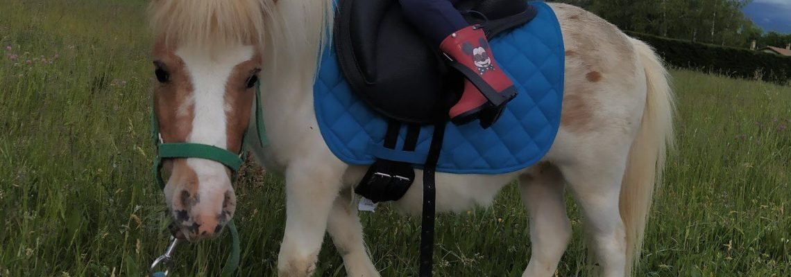 poney