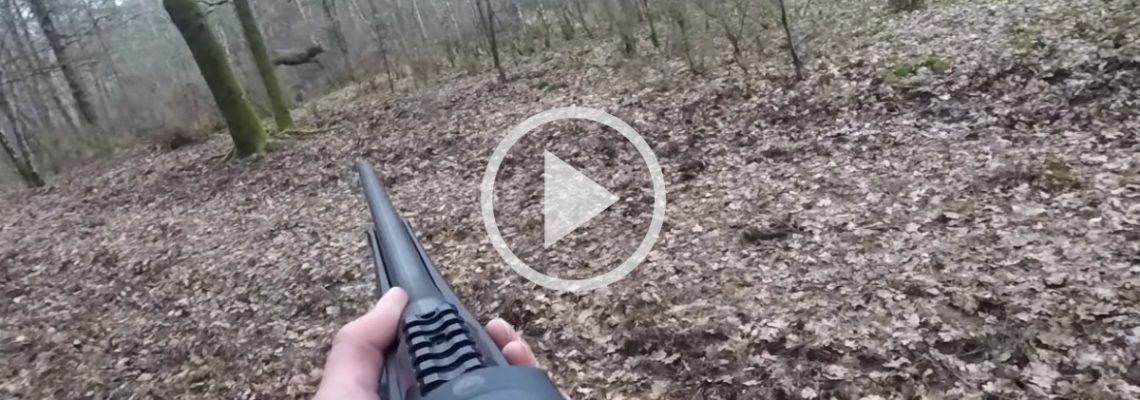 premier cerf d'un jeune chasseur