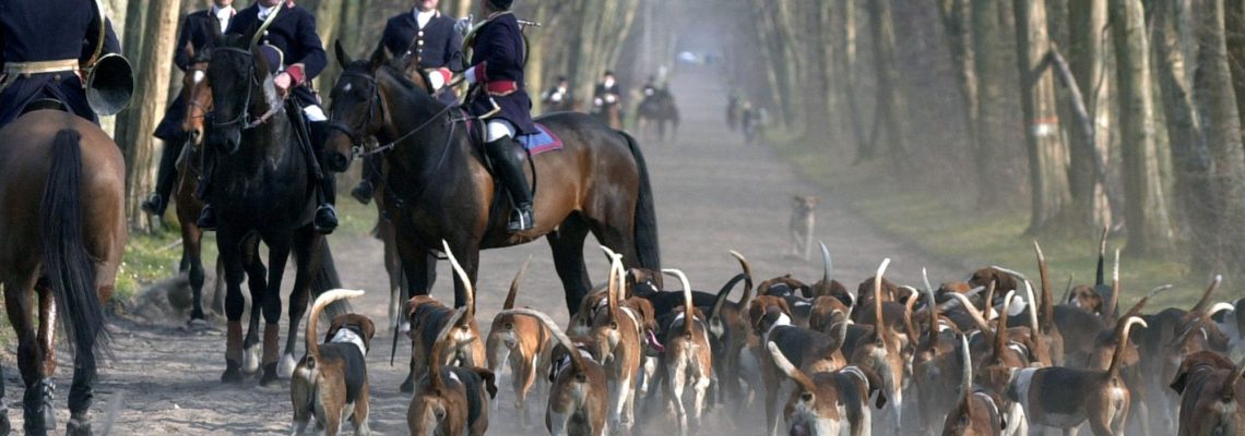 14 Sénateurs déposent un projet de loi interdisant la chasse à courre