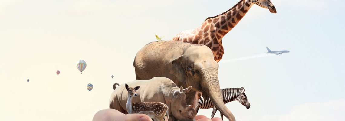 La protection animal, une marotte pour humoriste en mal d’inspiration