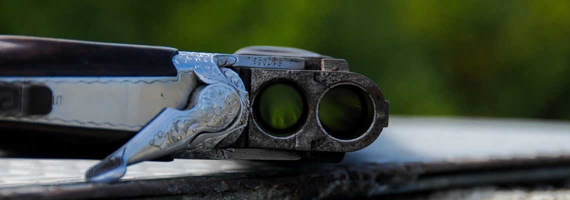 fusil de chasse