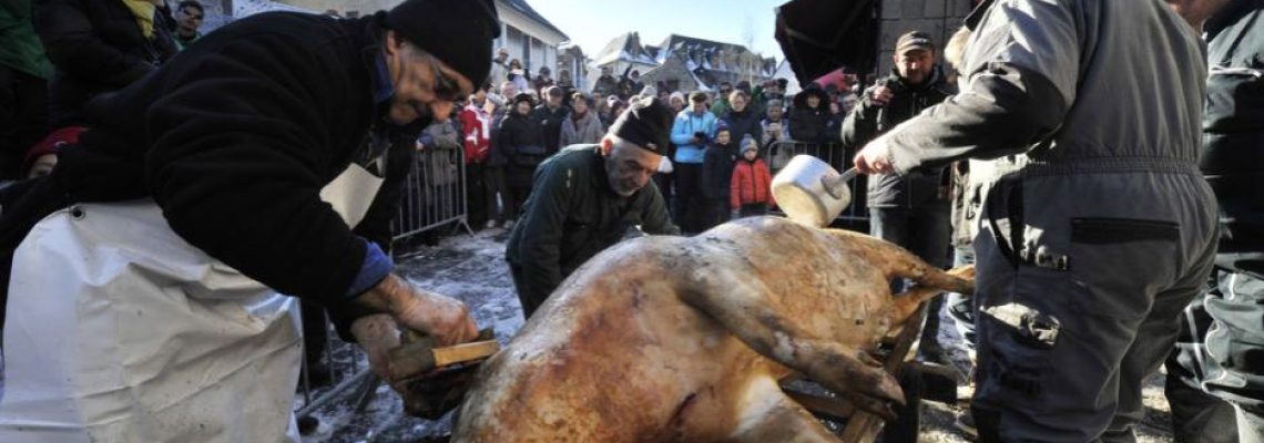 La Saint Cochon rebaptisé, un salon du chiot annulé, merci les animalistes