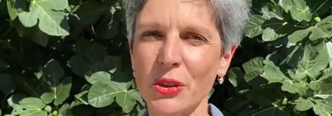 sandrine-rousseau