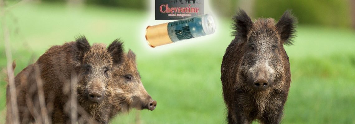 Retour de la chevrotine