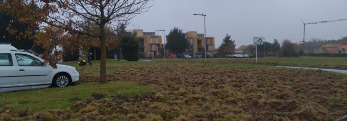 sangliers au sables dolonnes