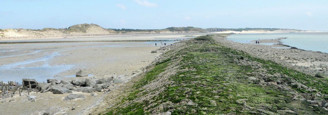 Baie d'Authie