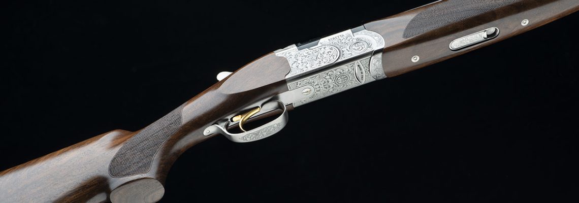 silver-pigeon-V
