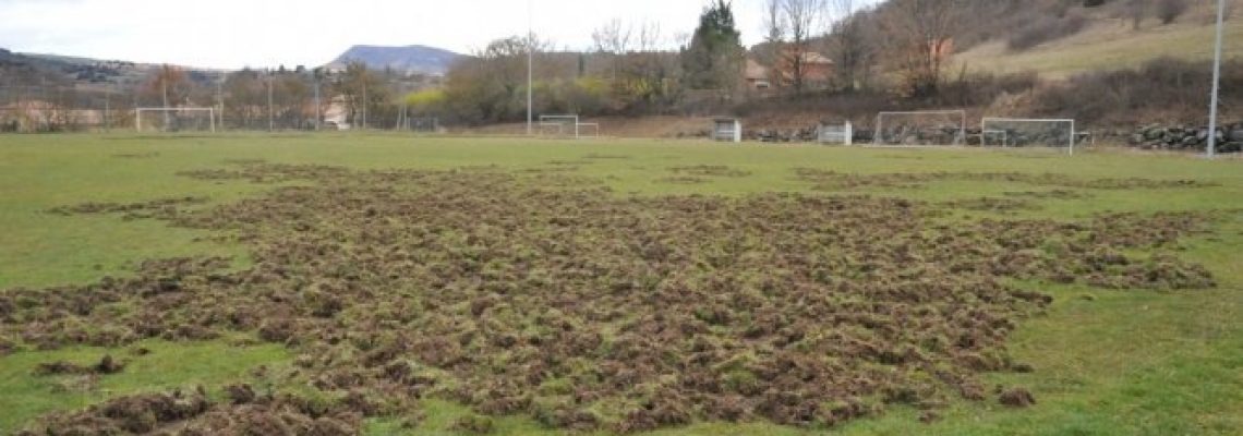 terrain-foot-sanglier-aveyron