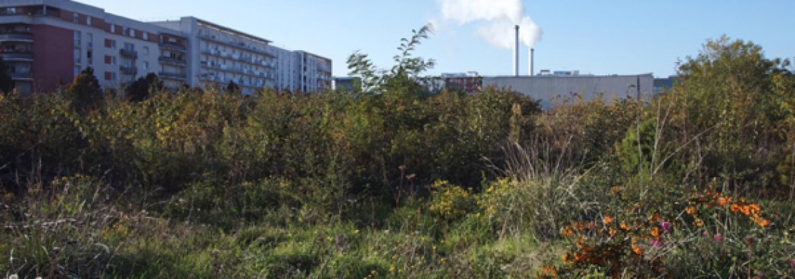 terrain-friche-chasse-montpellier
