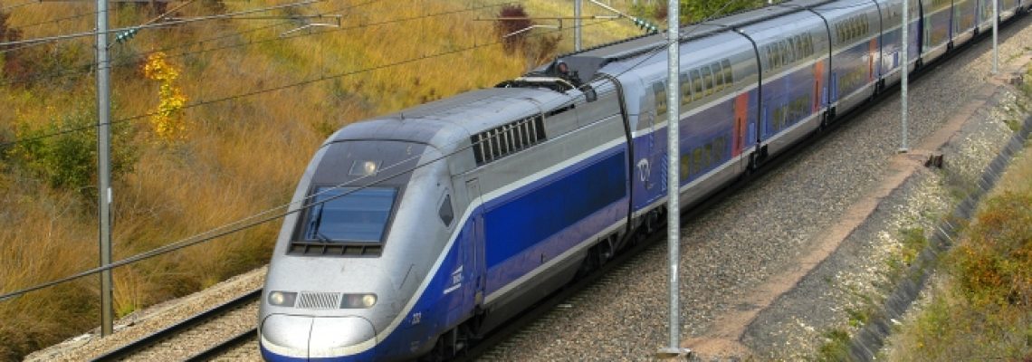 tgv-chevreuil