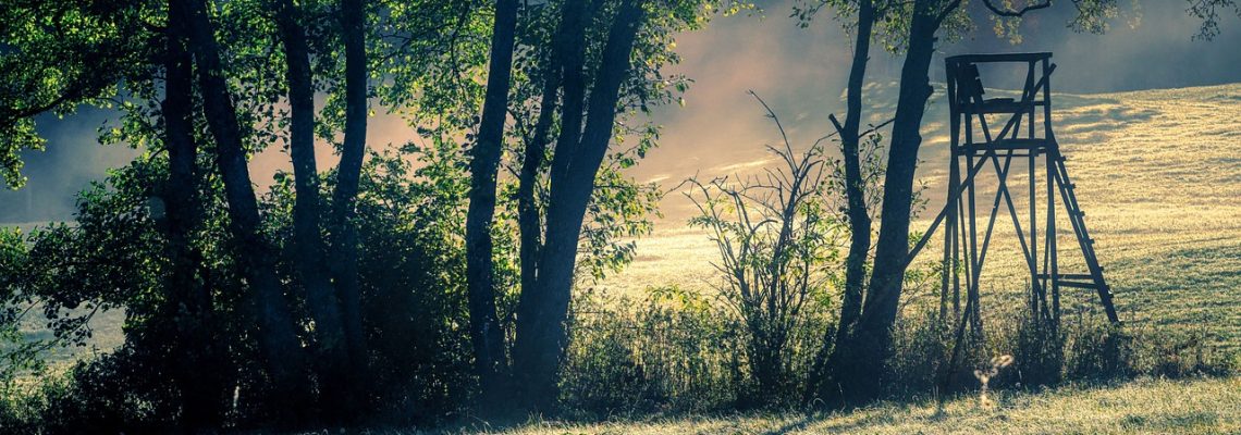 mirador de chasse en pleine nature
