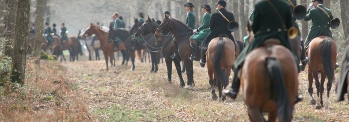 Un veneur agressé en forêt de laigues