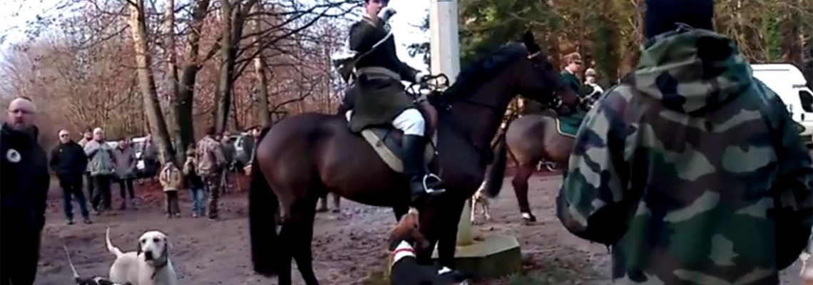 Les vidéos d’entraves à la pratique de la chasse d’AVA