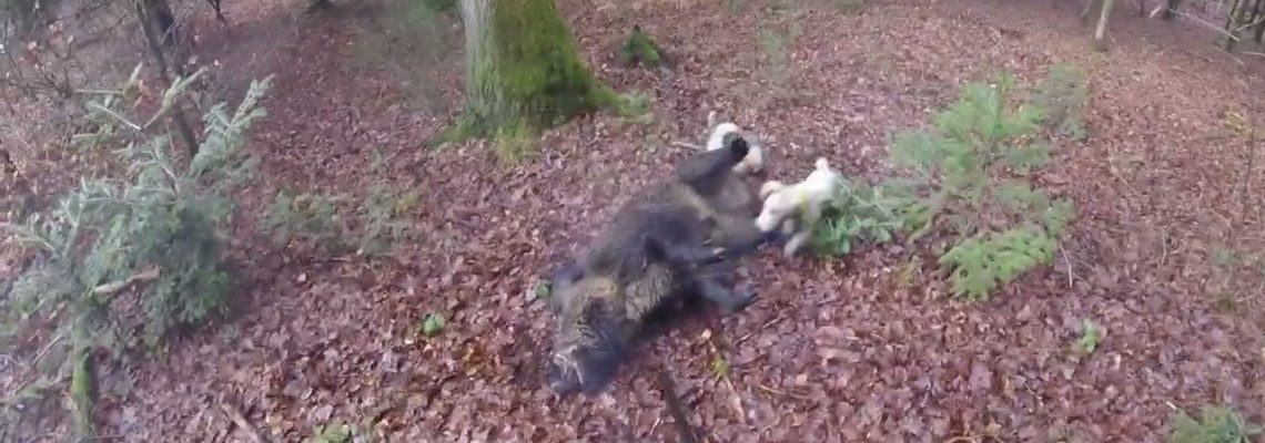 video-charge-et-tir-a-50-cm-dun