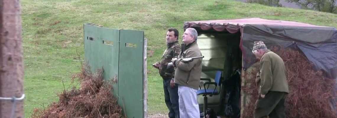 Vidéo : chasse à la palombe dans les cols