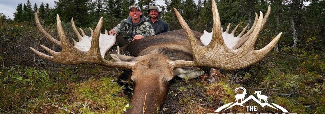 Vidéo : chasse d’un élan géant en Alaska