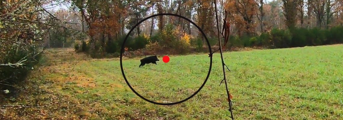 [Vidéo] Compilation de 9 tirs de sangliers en Sologne