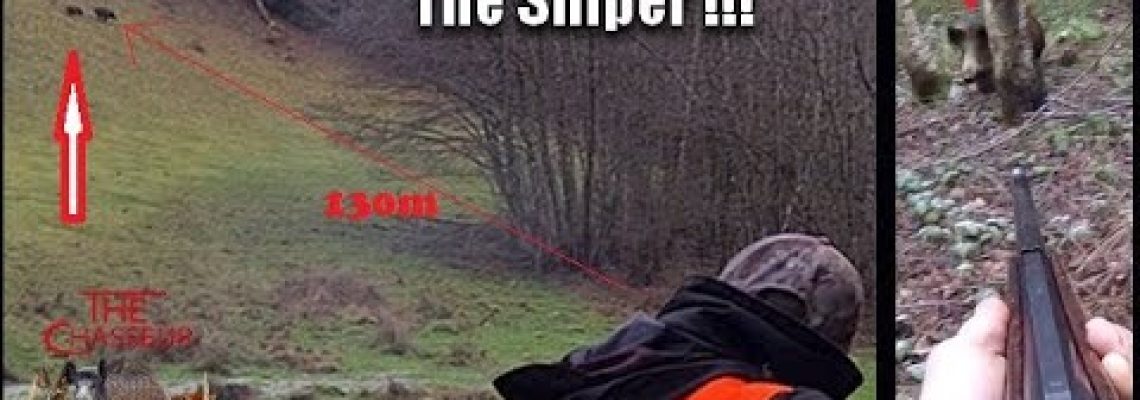 [Vidéo] Des tirs impressionnants ! Chasse aux sangliers en battues !