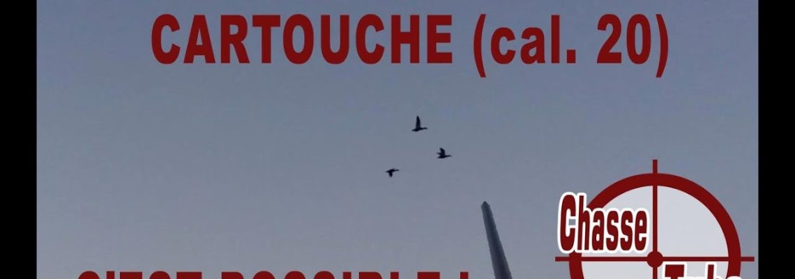 Vidéo : grandiose ouverture aux canards en Camargue