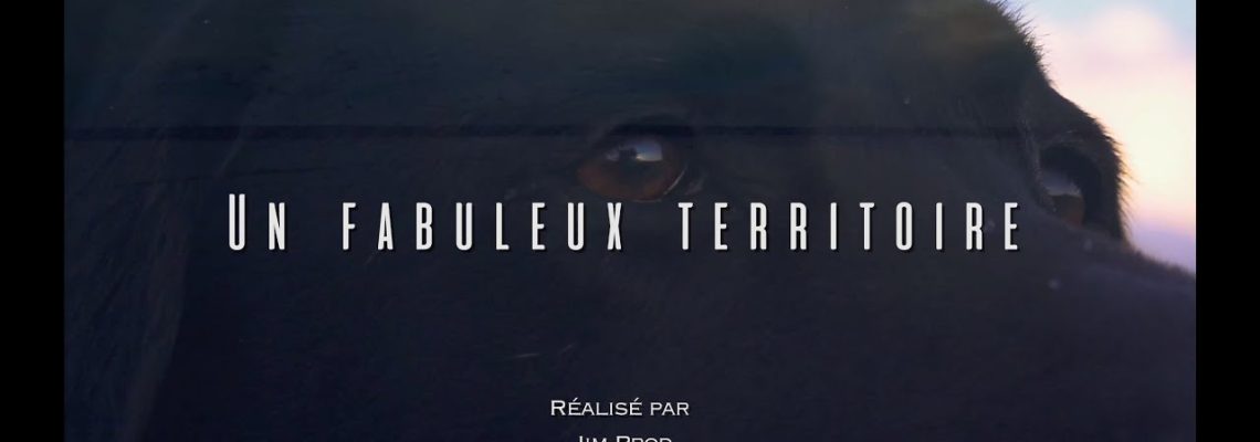 Vidéo : la chasse dans les marais du Cotentin et du Bessin