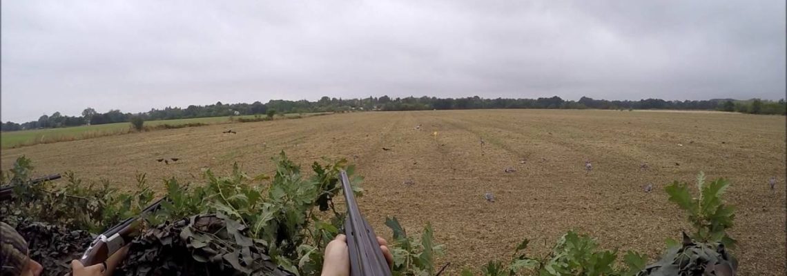 Vidéo : ouverture de la chasse aux pigeons 2016