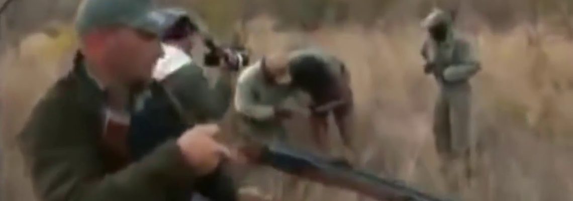 Vidéo : un léopard attaque à un guide en brousse