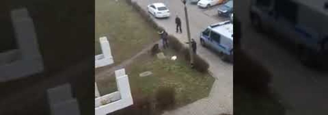 [Vidéo] Un sanglier charge un homme, la police l’abat de 6 balles