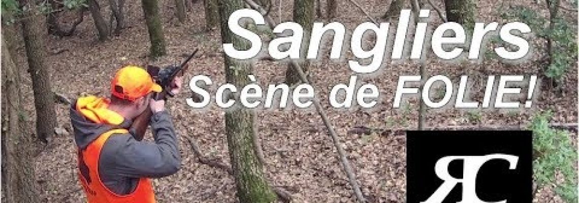 Vidéo : un sanglier qui a bien failli l’échapper belle