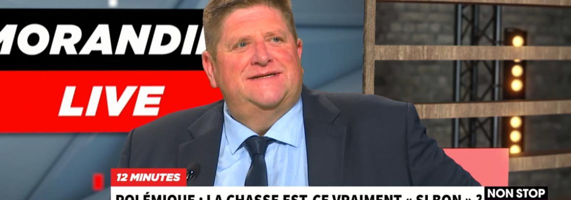 willy-schraen-morandini