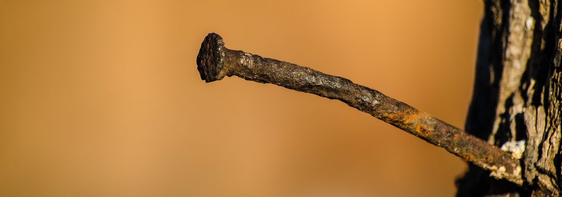 des écologistes plantent des clous dans les arbres