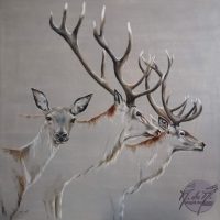 1HU2003001 Cerfs et biche en transparence 