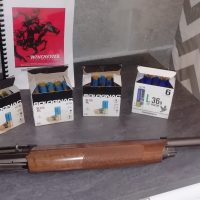 Winchester SX3